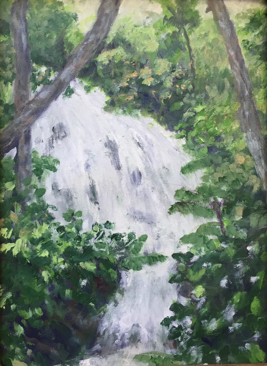 Ocho Rios Waterfall I - Brian M. Johnston - 10" x 14" - oil on canvas - US$. 620.