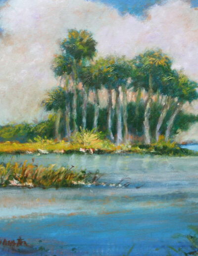 Everglades Hammock-Brian M. Johnston